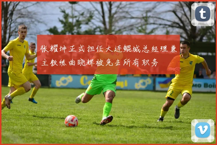 张耀坤正式担任大连鲲城总经理兼主教练曲晓辉被免去所有职务