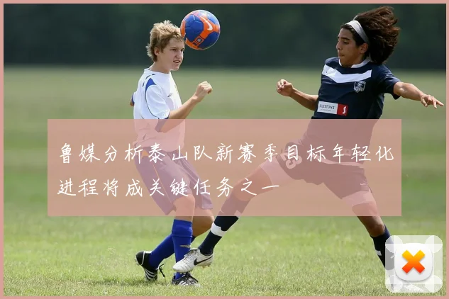 鲁媒分析泰山队新赛季目标年轻化进程将成关键任务之一