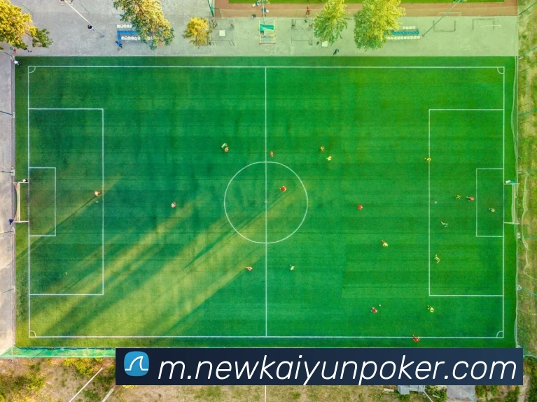 多媒体互动体验